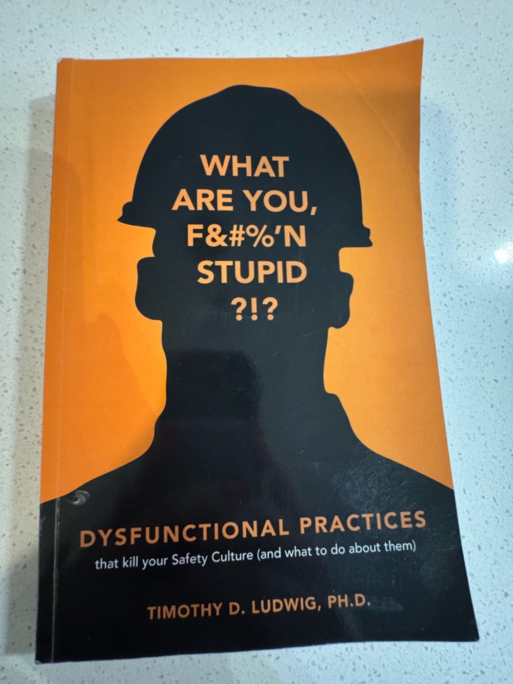 What Are You, F&#!%’n Stupid?!? — Orange & Black Safety Culture Book
